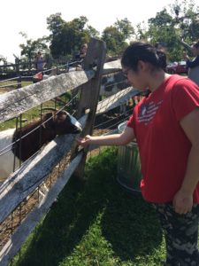Student feeding a goat.