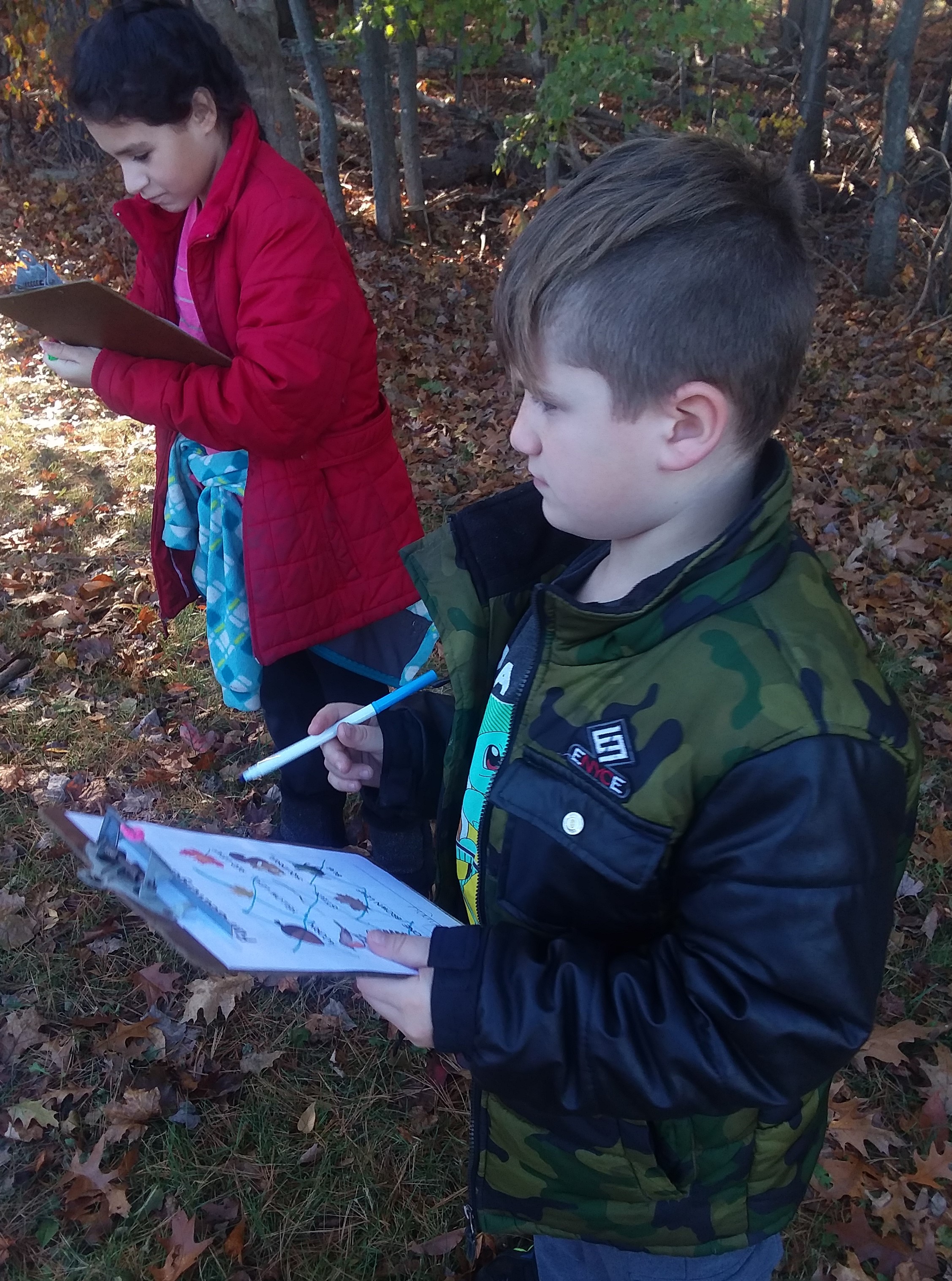 Students on a nature search.