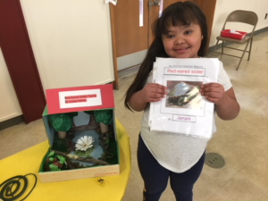 Student showing presentation on turtles.