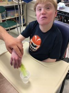 Ways to care for our Earth