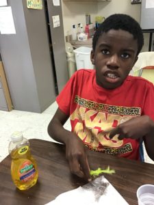 Ways to care for our Earth