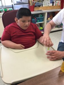 Ways to care for our Earth